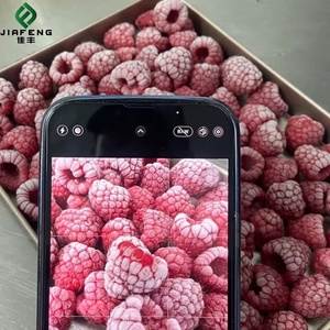 IQF Đông Lạnh <span class=keywords><strong>Raspberry</strong></span> Toàn Bộ 100% Tự Nhiên Ngọt Ngào Nếm <span class=keywords><strong>Raspberry</strong></span> Đông Lạnh Số Lượng Lớn Carton Bán Buôn Cung Cấp - Product Image 3