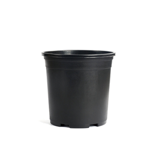 Vasi per Fiori Artificiali <span class=keywords><strong>in</strong></span> PP all'Ingrosso, Mini Vasi per Piante da Vivaio, Vasi da Giardino per Esterni, Durevoli, Leggeri e Biodegradabili - Product Image 1