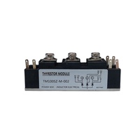 Composants électroniques nouveaux et originaux Module IGBT TM100sz-M-002