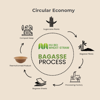 Assiettes jetables robustes et compostables, en bagasse écologique, pour restaurants