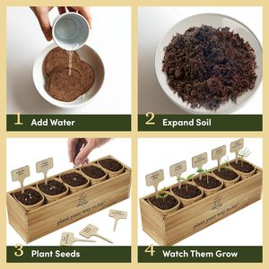 Planter's Choice Kit de démarrage d'arbre à bonsaï d'intérieur unique Source d'alimentation manuelle pour adultes bricolage artisanat passe-temps cadeau pour les amateurs de jardinage - Product Image 6