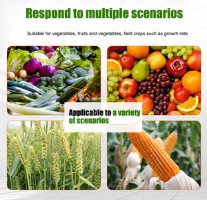 Liquides d'extrait d'algues 100% engrais organique utilisation d'extrait d'algues en agriculture - Product Image 5