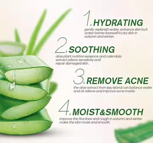 99% Gel d'<span class=keywords><strong>aloe</strong></span> <span class=keywords><strong>vera</strong></span> bio <span class=keywords><strong>pur</strong></span> crème et lotion pour le visage Logo privé Gel d'<span class=keywords><strong>aloe</strong></span> <span class=keywords><strong>vera</strong></span> éclaircissant avec des ingrédients naturels - Product Image 3