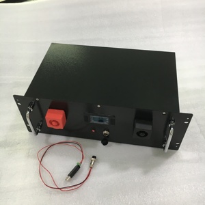 Delongtop Deep Cycle 8s Lithium <b>Battery</b> 25.6v 50ah 100ah Rechargeable <b>Battery</b> Pack <b>24v</b> 100amp BMS for LFP24100 Lithium Ion Batte - Product Image 2