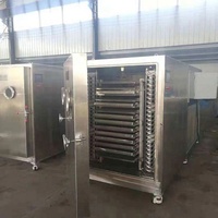 Hoge Kwaliteit 10m2 Droger Voor Fruit En Groenten Fruit Drogen Productielijn Industriële Vacuümdroger