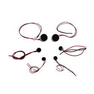 Microfono a Condensatore Electret, Trasduttore per Microfoni, Sensore di Vibrazione Piccola, Altoparlante Wireless a Tromba Rotonda - Product Image 1