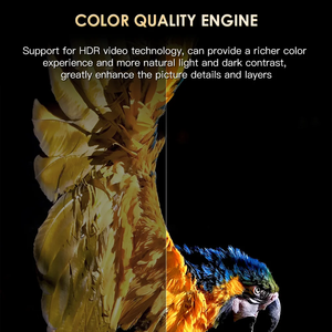 H20pro thông minh <span class=keywords><strong>Android</strong></span> <span class=keywords><strong>TV</strong></span> Box <span class=keywords><strong>Android</strong></span> 10.0 1GB 8GB 2.4 & 5 gam Wifi 4K phương tiện truyền thông Máy nghe nhạc <span class=keywords><strong>TV</strong></span> BOX <span class=keywords><strong>ANDROID</strong></span> chơi cửa hàng 1080P Set Top Box - Product Image 3