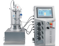 Biorreactor de Laboratorio Bailun con Agitación Magnética, Recipiente de Presión de Acero Inoxidable de 5L, Cultivo de Células y Bacterias, Calentamiento Inferior