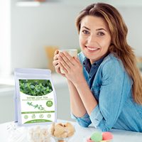 Thé détoxifiant sans caféine pour le soutien pulmonaire avec feuille de molène, ginseng, sureau, gingembre, thym - Sachet de thé naturel pour des poumons clairs