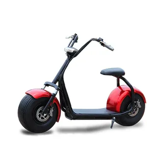 e 2020 Hot New Products Hot Selling 18 Inch Tire Customized Logo Citycoco 1500W Electric Scoter
