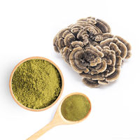 Poudre de champignon Turkey Tail 30:1 Extrait de bêta-glucane Qualité alimentaire Complément nutritionnel à base de plantes