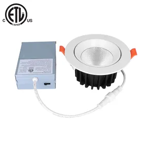 LED Ceiling Lamp Recessed Round AC 110V LED Downlight 9W 12W Indoor Lighting Warm White Cold ETL