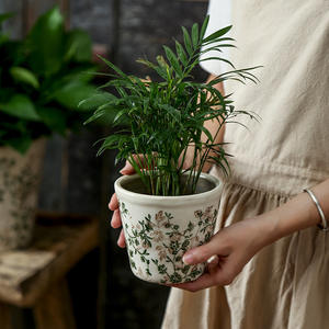 Fresca y retro nórdica simple artículos hidropónicos jardín creativo orquídea planta verde <span class=keywords><strong>suculenta</strong></span> maceta de cerámica grande - Product Image 4