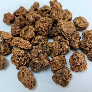 Chong Ying Guo Bulk Natuurlijke Silvervine Actinidia Polygama Galvruchten Matatabi Fruit Voor Kat Kauwen - Product Image 5