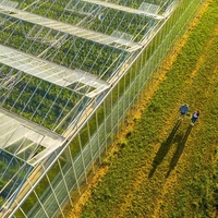 Serres agricoles commerciales multi-chapelles en verre avec système hydroponique pour la production de laitues, de fraises et de fleurs
