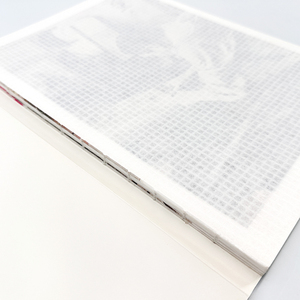 Livre de bande dessinée/manga personnalisé avec couverture rigide, impression offset CMYK, reliure cousue et pages de fin couleur. - Product Image 3