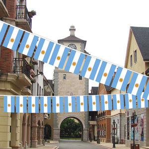 Флаг из Аргентины, полиэфирная ткань, флаг страны на день рождения, праздничное украшение - Product Image 3