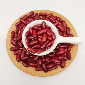 Vente en gros de haricots rouges foncés séchés de haute qualité pour les aliments en conserve - Product Image 1