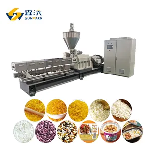 Top supplier Artificial rice extrusion machine Fortified rice kernels (FRK) making production of artificial rice ready in stock