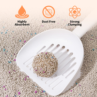 Haisenpet Hysen Clean Clean+ Prix Réduit Promotion Éco Litière pour Chat à la Bentonite Neco Sand Arena Para Gatos Produit Partenaire