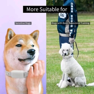 Gran oferta, <span class=keywords><strong>Collar</strong></span> de entrenamiento eléctrico recargable para perros, rango de <span class=keywords><strong>300m</strong></span>, pitido seguro, vibración, control remoto, 3 modos, impermeable, nailon, portátil, inteligente - Product Image 6