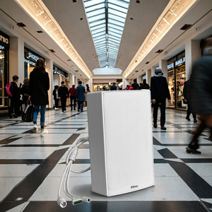 Thinuna IP-25WS III IP mạng phát sóng hệ thống treo tường Loa đơn vị chính với 2*30W khuếch đại kỹ thuật số, 48V POE hỗ trợ - Product Image 3