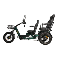 Tricycle électrique à double moteur 1750w, batterie 48v 60ah, tout-terrain, vélo électrique à 3 roues, autonomie de 200 km