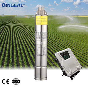 Bomba Solar de Tornillo de Acero Inoxidable de Alta Calidad de 48 V, Bomba Solar Helicoidal Feili <span class=keywords><strong>FLS</strong></span>, Bomba de Agua Solar Sumergible de CC de 1 HP - Product Image 4