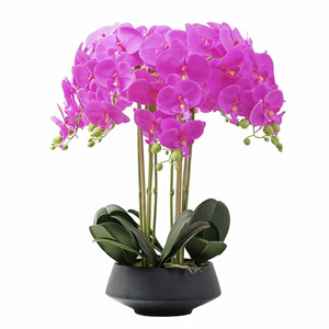 Orchidea farfalla in vaso artificiale all'ingrosso con vaso nero <span class=keywords><strong>per</strong></span> la decorazione della casa - Product Image 2