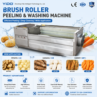 Laveuse de légumes multifonction CE à rouleaux brosse, machine à éplucher les oignons, équipement de nettoyage pour pommes de terre, radis, gingembre et légumes racineux