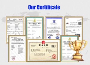 Nhà Máy Mạ Kẽm Lăn Chạy Điện/Máy Mạ Kẽm Đinh Vít/Máy Mạ Điện Cho Đinh - Product Image 6