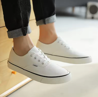Baskets en toile respirantes à lacets pour hommes et femmes, chaussures de marche légères avec broderie sur la boîte à chaussures et semelle intermédiaire en caoutchouc/PVC pour toutes les saisons