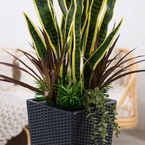 <span class=keywords><strong>OH</strong></span> ARTS Plante Serpent Artificiel Plante Plastique Faux Vert Jaune Dongguan Usine pour Fournitures de Jardin Décoration - Product Image 5