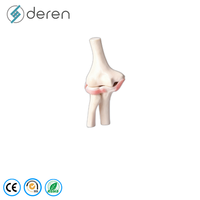 Modelo de Articulación de Cadera Humana a Tamaño Real con Ligamentos, de Silicona Suave y PVC, Modelo Anatómico de Cadera para Uso Médico y Forense