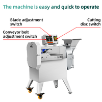 Professionele multifunctionele elektrische groente-snijder, -slicer, -shredder en -dicer, commerciële voedselverwerkingsmachine, bananen- en fruitsnijder