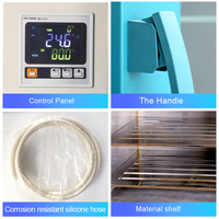 Horno de Secado al Vacío con Temperatura Constante y Calefacción Eléctrica para Secar Resina Polimérica