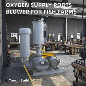 Soplador de Alta Densidad para Piscicultura 220V OEM Personalizable Directo de Fábrica - Product Image 2