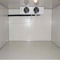 Conteneur frigorifique mobile isolé, chambre froide / entrepôt frigorifique pour la viande / le poisson / les légumes