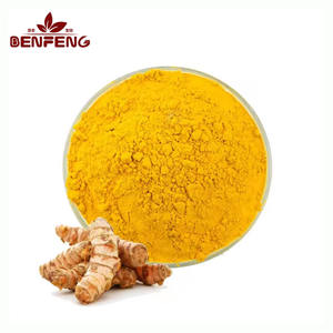 Yüksek Kaliteli Gıda Sınıfı Zerdeçal Kökü Ekstresi Tozu, Kurkumin İçerir, Su Çözünürlüklü 10:1, Vakumlu Varil Ambalajında - Product Image 1