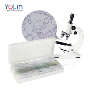 50 Slides Teaching Resources Science Training Slides Pathology Medicine Education Human Pathology Microscope Prepared Slides