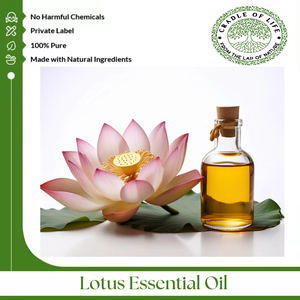 El aceite de loto proviene de la planta de loto que tiene flores cónicas y una serie de hojas circulares. - Product Image 6