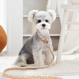 Collar de Perro Personalizado de Algodón Suave y Duradero, Talla S, Elegante, Moderno, de Lujo, con Estampado Exclusivo, Accesorio para Mascotas - Product Image 3