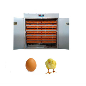 Professional Commercial Best Incubator for Chicken <b>Eggs</b> Chicken Incubator for Sale Made in China - Product Image 6