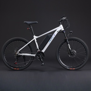 Moteur de vélo électrique, stock européen, prix <span class=keywords><strong>d</strong></span>'<span class=keywords><strong>occasion</strong></span>, roues personnalisées pour descente, pneus pour sauts, vélo électrique robuste pour tout-petits, vélo électrique cool - Product Image 1