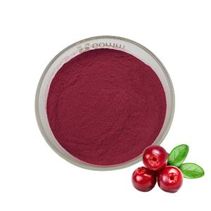 Polvo de fruta de arándano orgánico Extracto de fruta de arándano en polvo Polvo de arándanos - Product Image 1