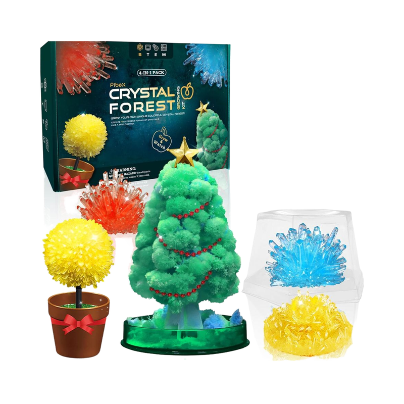 Toddlers Educational Nature Plant Biology Toys
