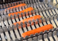 Automatische babywortelproductie snijmachine rolborstel schilmachine wortelverwerkingslijn