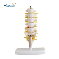 Science médicale squelette humain colonne vertébrale modèle anatomique Mini vertèbres lombaires avec sacrum et coccyx et hernie discale Mo