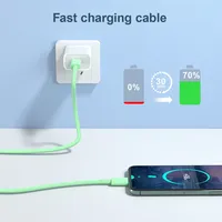 Ausverkauf Hochwertiges Schnell-Ladekabel PD 20W USB-C für iPhone iPad - Schnelle Datenübertragung mit Reinkupferleiter