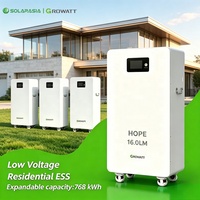 Batterie lithium mobile Growatt 51,2 V 314 Ah, basse tension, 16 kWh, LiFePO4, système de stockage d'énergie solaire rechargeable pour la maison
